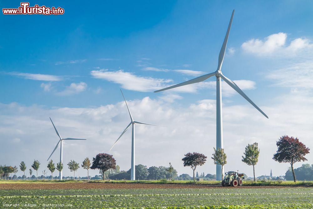 Immagine Pale eoliche in un appezzamento di terra a Krefeld, Germania - © Lukassek / Shutterstock.com