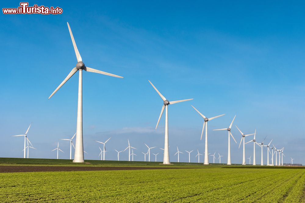 Immagine Pale eoliche nel parco Westermeerwind, Flevoland, Paesi Bassi. Questo parco, con 48 turbine eoliche da 3 megawatt disposte su due fila, sorge lungo le dighe del Noordoostpolder.