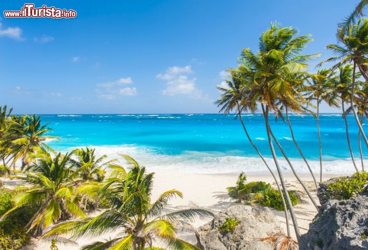 Immagine Palme e mare turchese a Bottom Bay, una delle spiagge bianche più belle dell'isola di Barbados. Si trova nella zona sud vicino alla storica residenza del Sam Lord's Castle  - © Filip Fuxa / shutterstock.com