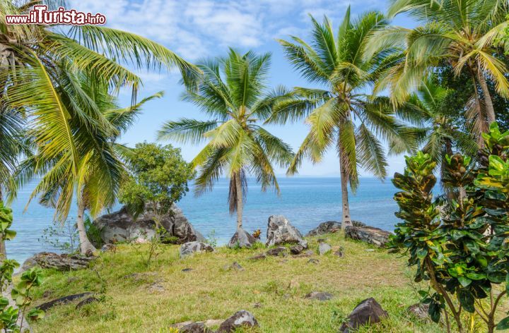 Immagine Palme davanti all'oceano sull'isola di Nosy Komba (Nosy Ambariovato), non distante da Nosy Be, in Madagascar - foto © lenisecalleja.photography / Shutterstock.com