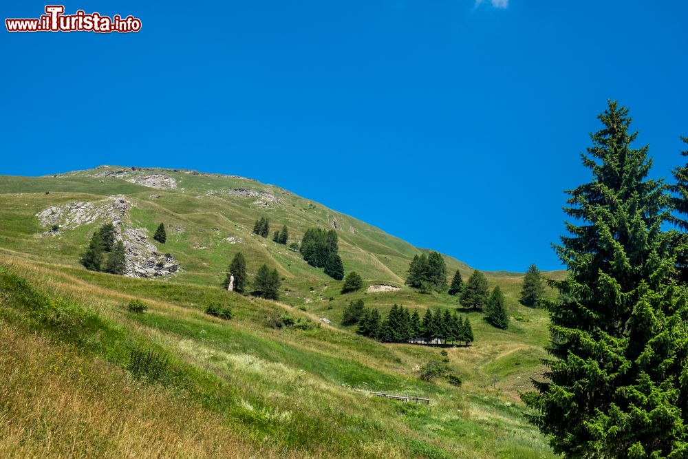 Immagine Panorama agreste in Valle Grana, Piemonte.