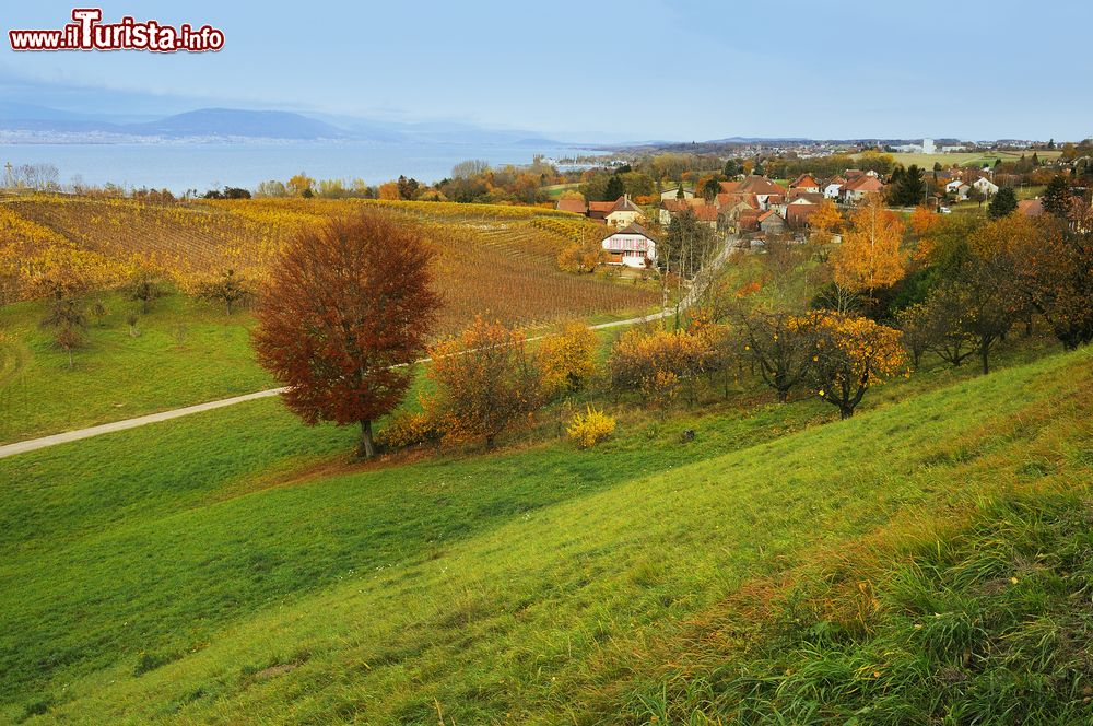 Immagine  Panorama autunnale a Estavayer-le-Lac, Svizzera.