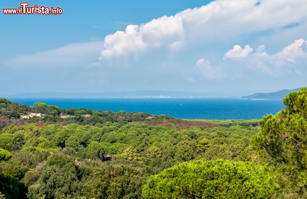 Immagine Panorama dall'alto della collina di Punta Ala: una bella veduta della vegetazione e del mare di questo tratto di Toscana in provincia di Grosseto.