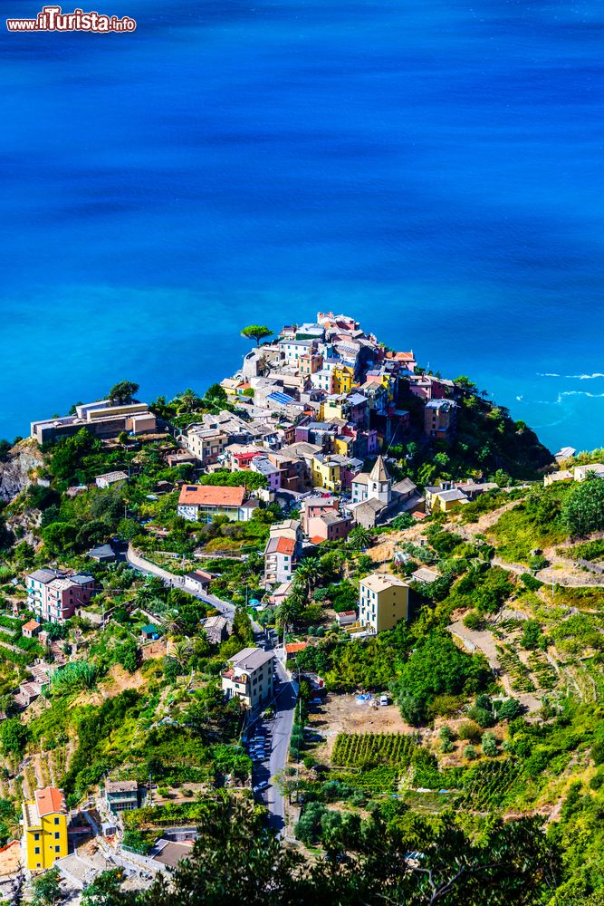 Immagine Panorama dall'alto di Corniglia, Cinque Terre, La Spezia. E' immersa fra i colori della vegetazione e il blu elettrico del mare.