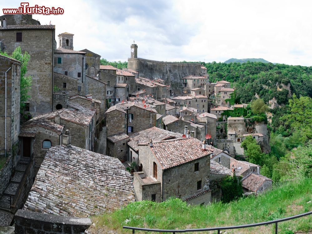 Immagine Panorama dei tetti del borgo storico di Scansano in Toscana.