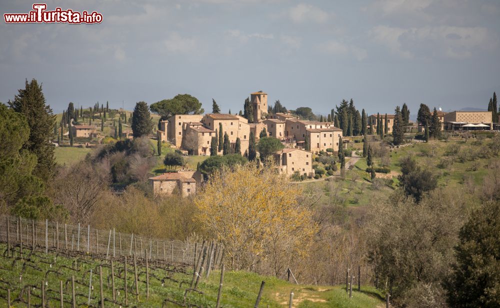 Immagine Panorama del borgo toscano di Castefalfi, provincia di Firenze