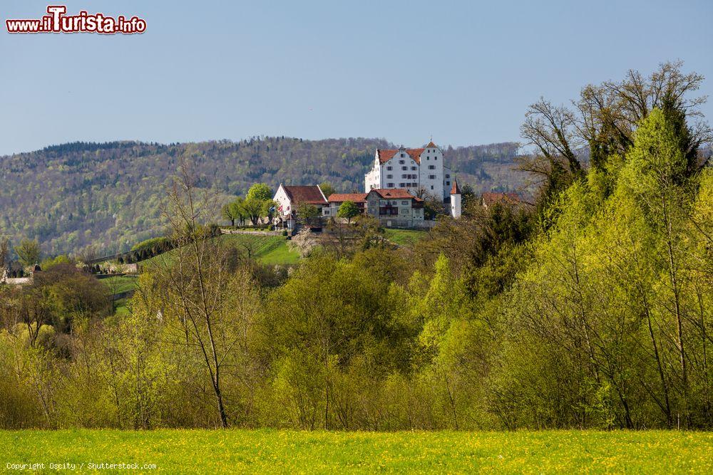 Immagine Panorama del castello di Wildegg, Svizzera, nei pressi di Brugg. Circondato da giardini, prati e vitigni, l'odierno castello venne costruito dagli Asburgo nella prima metà del XIII° secolo. L'orto e il parco in stile barocco sono ubicati su un terrazzo al centro del vigneto e accolgono oltre 300 piante di importanza culturale. Siamo nel cantone d'Aargau - © Oscity / Shutterstock.com