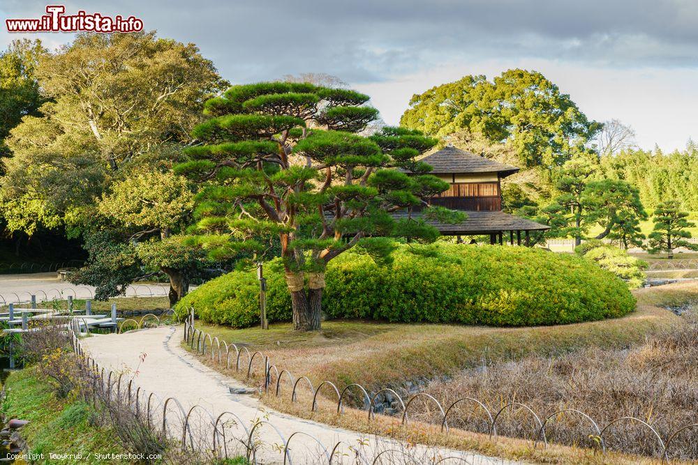 Immagine Panorama del giardino Koraku-en a Okayama, Giappone. E' uno dei tre più grandi giardini del paese (assieme a Kenroku-en e Kairaku-en): la sua costruzione risale agli inizi del XVIII° secolo  - © Tooykrub / Shutterstock.com