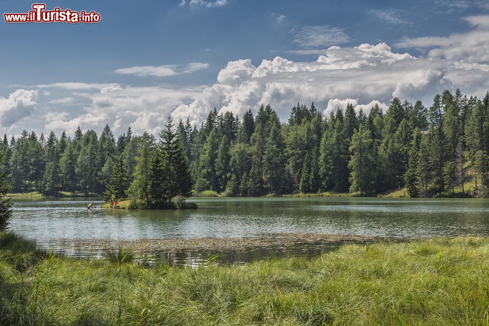 Immagine Panorama del lago di Tret, Ronzone, Val di Non, Trentino. Il bacino si estende per circa 220 metri in lunghezza e 170 in larghezza con una profondità di 7 metri. E' un lago balneabile.