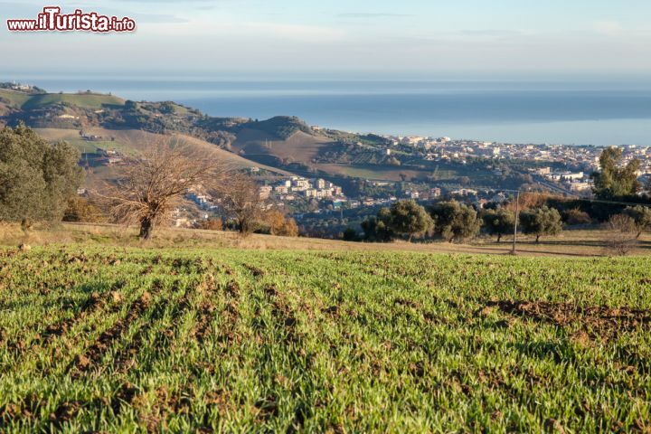 Immagine Panorama della cittadina di San Benedetto del Tronto (Marche) da una collina - © 240744346 / Shutterstock.com