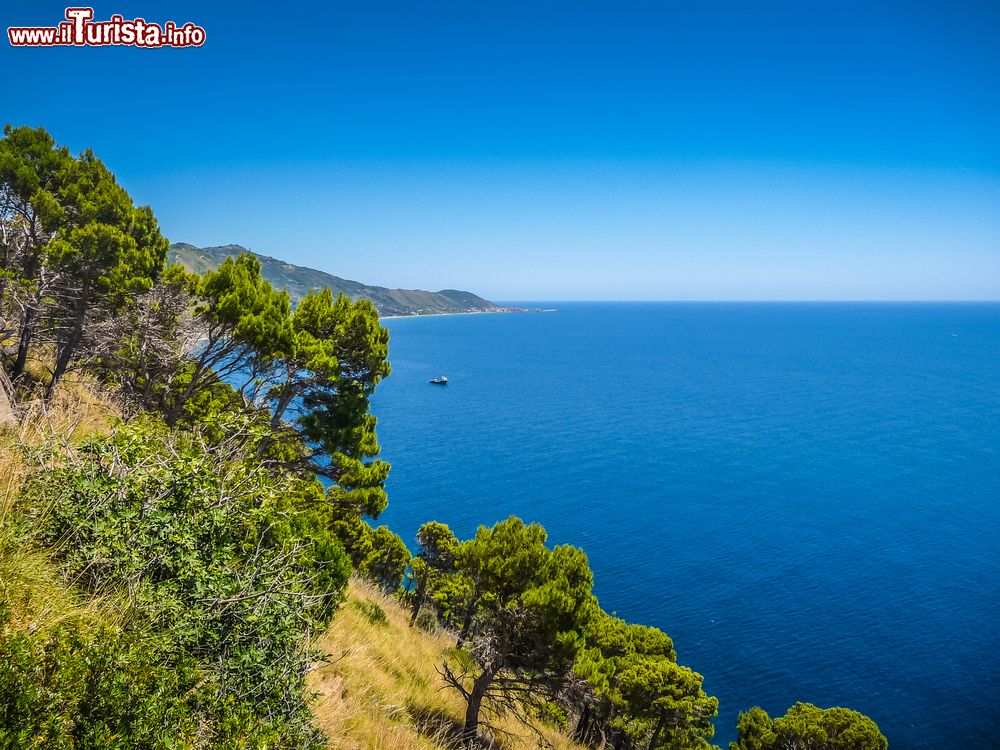 Immagine Panorama della costa di Agnone Cilento, Salerno, Campania. Per via dell'ottima qualità dell'acqua, è una località molto nota; da molti anni, ha ottenuto il prestigioso riconoscimento della Bandiera Blu.