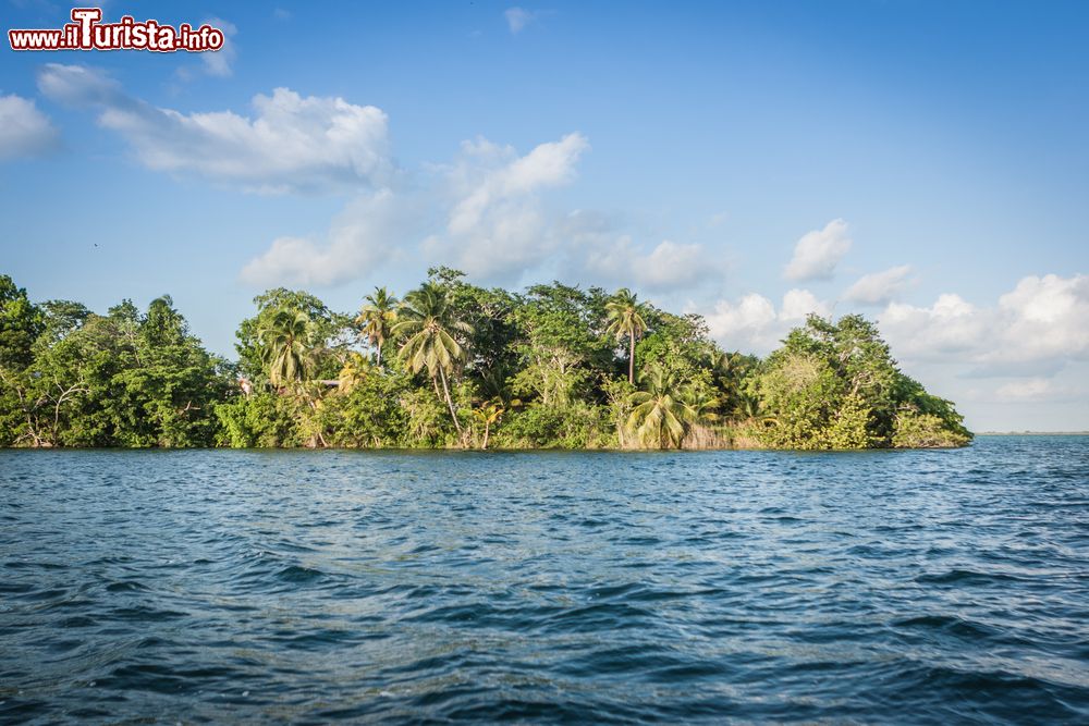 Immagine Panorama della laguna Bacalar a Chetumal, Quintana Roo, Messico. Siamo nella parte sud orientale del Messico. In questa immagine, palme e una piccola giungla sulla laguna.