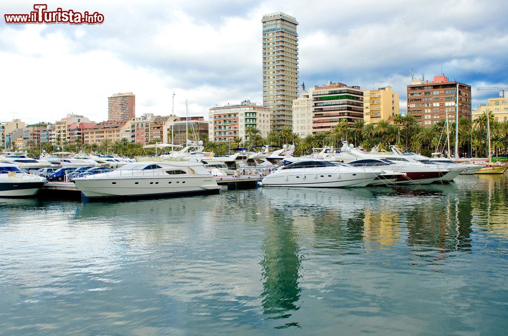 Immagine Panorama della marina di Alicante con yachts ormeggiati, Comunità Valenciana, Spagna. La città sorge ai piedi di una collina che si affaccia sul Mar Mediterraneo al centro di una grande baia.