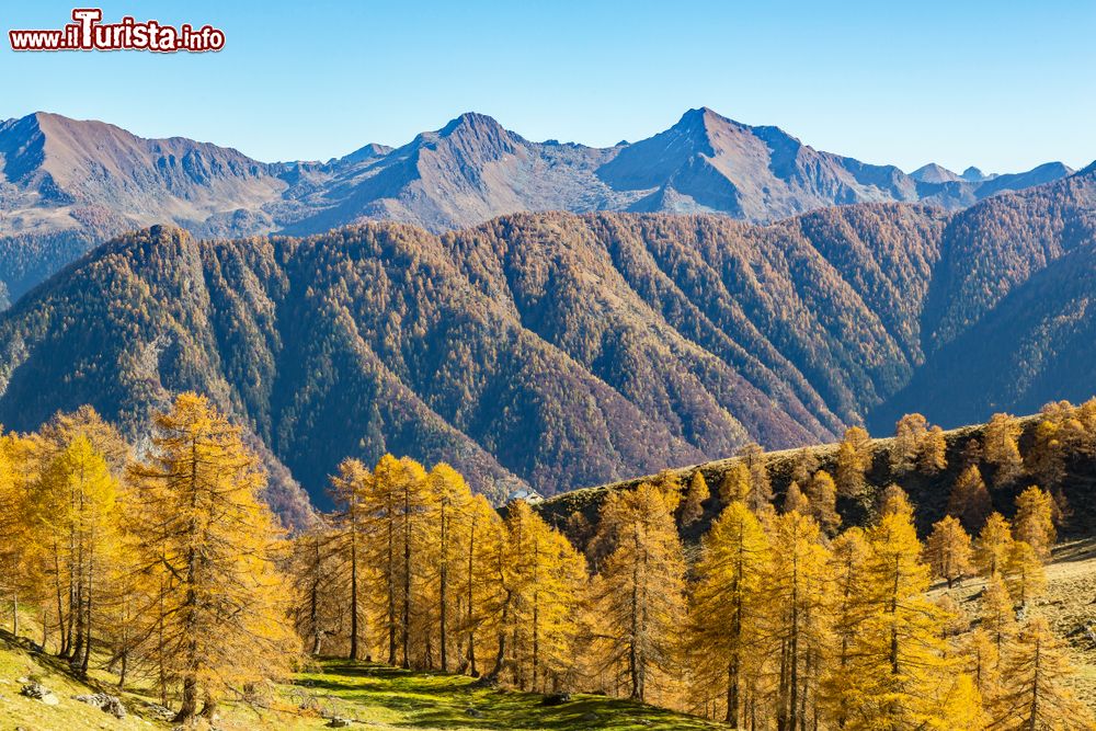 Immagine Panorama della Valgerola in Lombardia fotografato dalla CIma della Rosetta