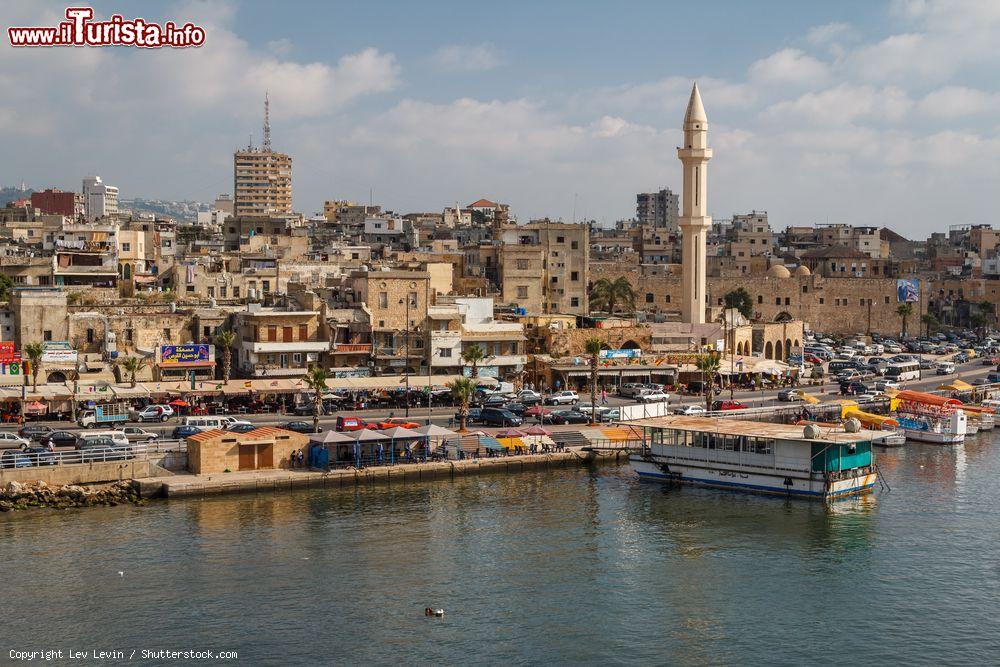 Immagine Panorama dell'antica città di Sidone, Libano.  I primi insediamenti dell'attuale area di Sidone si fanno risalire al quarto millennio avanti Cristo - © Lev Levin / Shutterstock.com