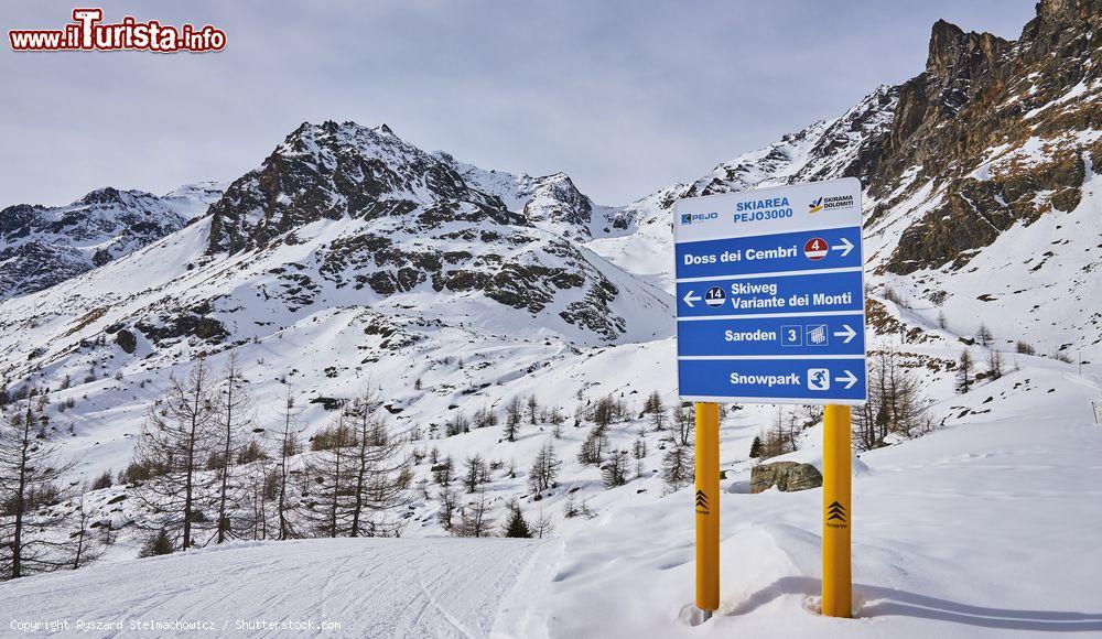 Immagine Panorama dell'area sciistica di Pejo, Trentino Alto Adige - © Ryszard Stelmachowicz / Shutterstock.com