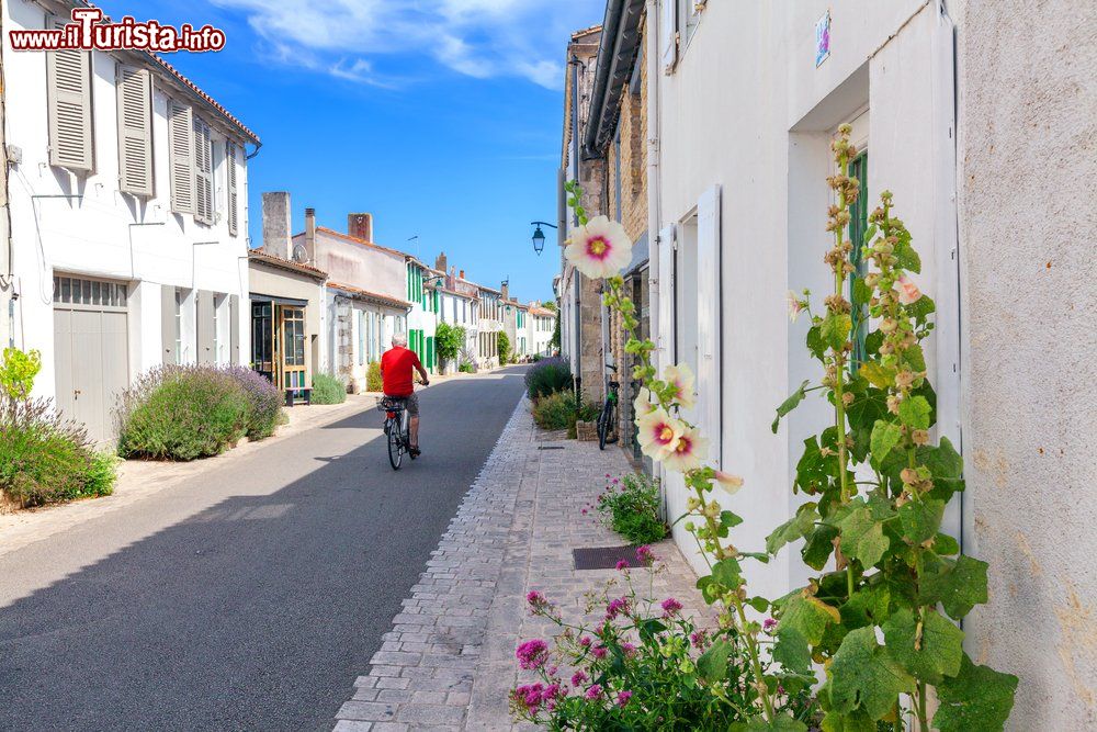 Immagine Panorama di Ars-en-Ré sull'isola di Ré, Francia. - © Pack-Shot / Shutterstock.com