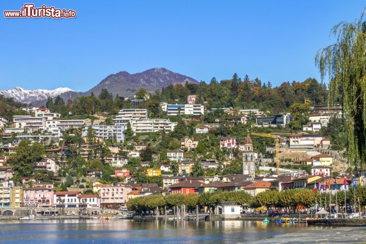 Panorama Di Ascona Lago Maggiore Svizzera Foto Ascona