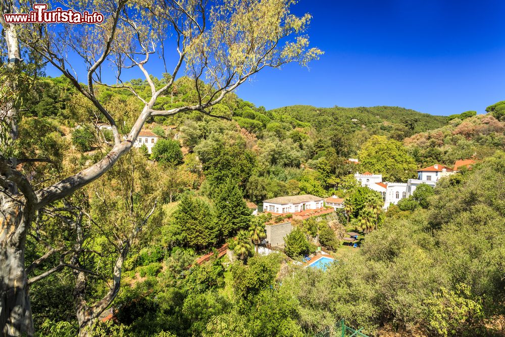 Immagine Panorama di Caldas de Monchique, regione montuosa dell'Algarve, Portogallo.