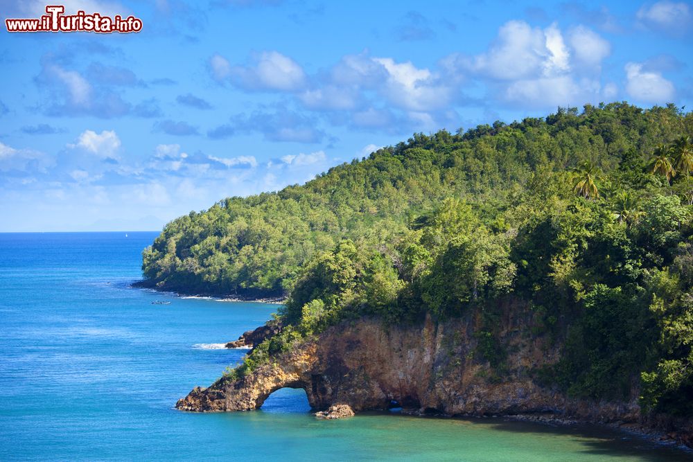 Immagine Panorama di Land Bridge sull'isola di Saint Lucia, Caraibi.