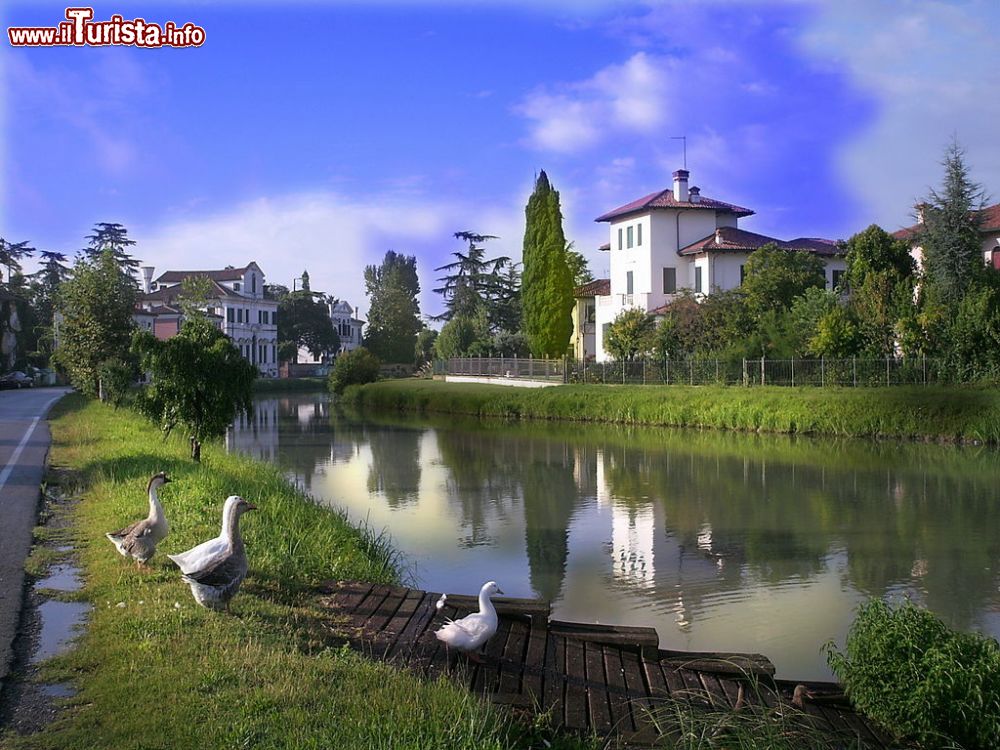 Immagine Panorama di Mira, Provincia di Venezia, Veneto - © cisko66, CC BY 3.0, Wikipedia