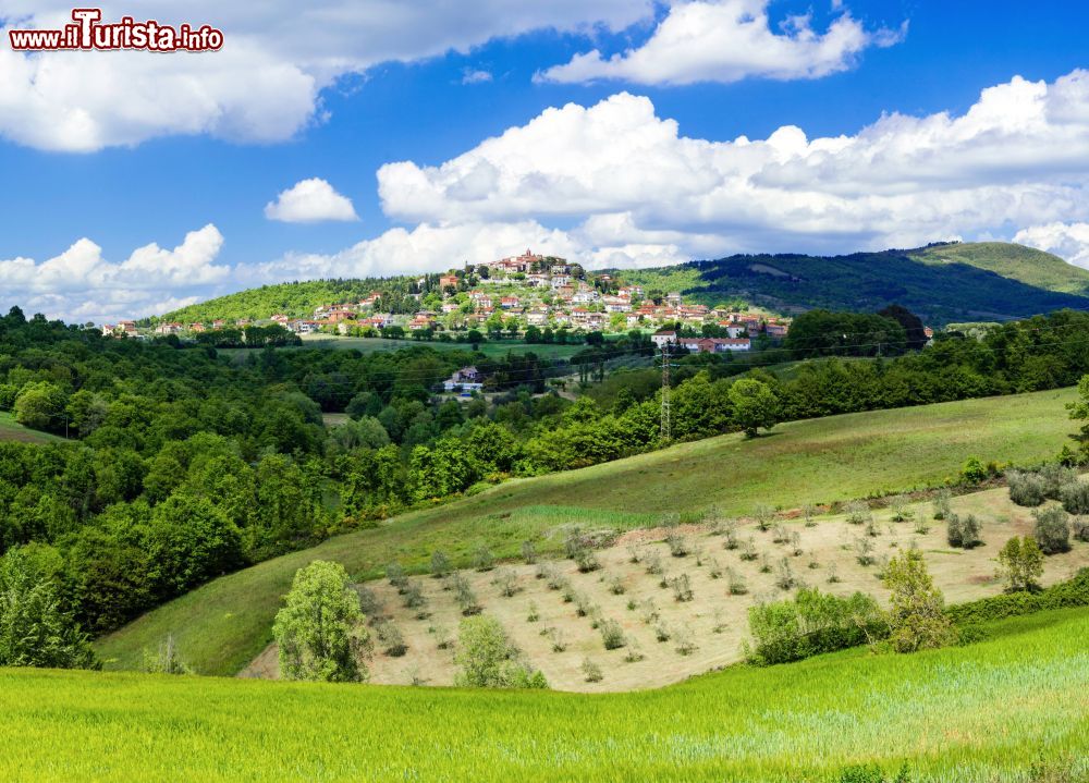 Immagine Panorama di Montegabbione splendido borgo tra le colline dell'in Umbria