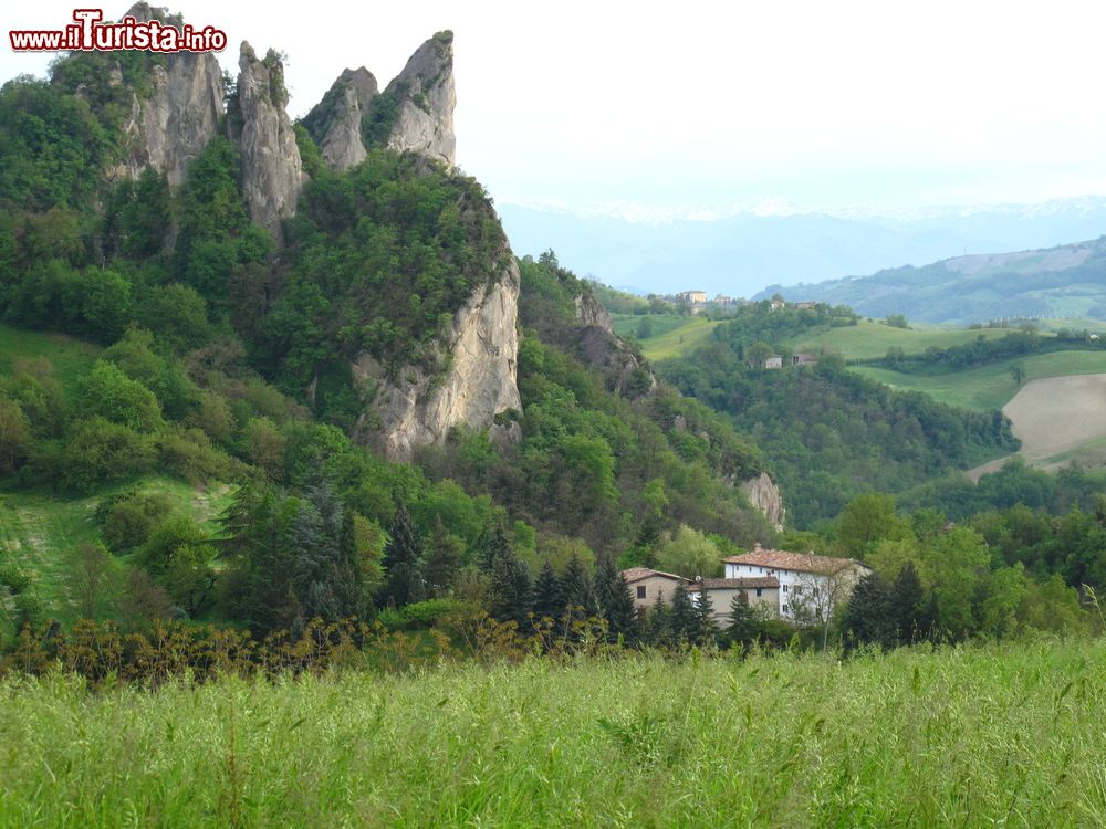 Immagine Panorama di Monteveglio, provincia di Bologna, Emilia Romagna. Il parco regionale dell'abbazia di Monteveglio è stato istituito nel 1955: ospita piccoli mammiferi ma anche cinghiali e caprioli e  una ricca avifauna.