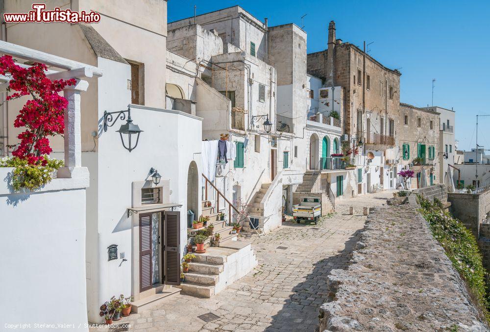 Immagine Panorama estivo della città di Monopoli, Puglia. Il territorio di Monopoli è costituito da ben 99 contrade e si estende su una superficie di oltre 150 chilometri quadrati - © Stefano_Valeri / Shutterstock.com