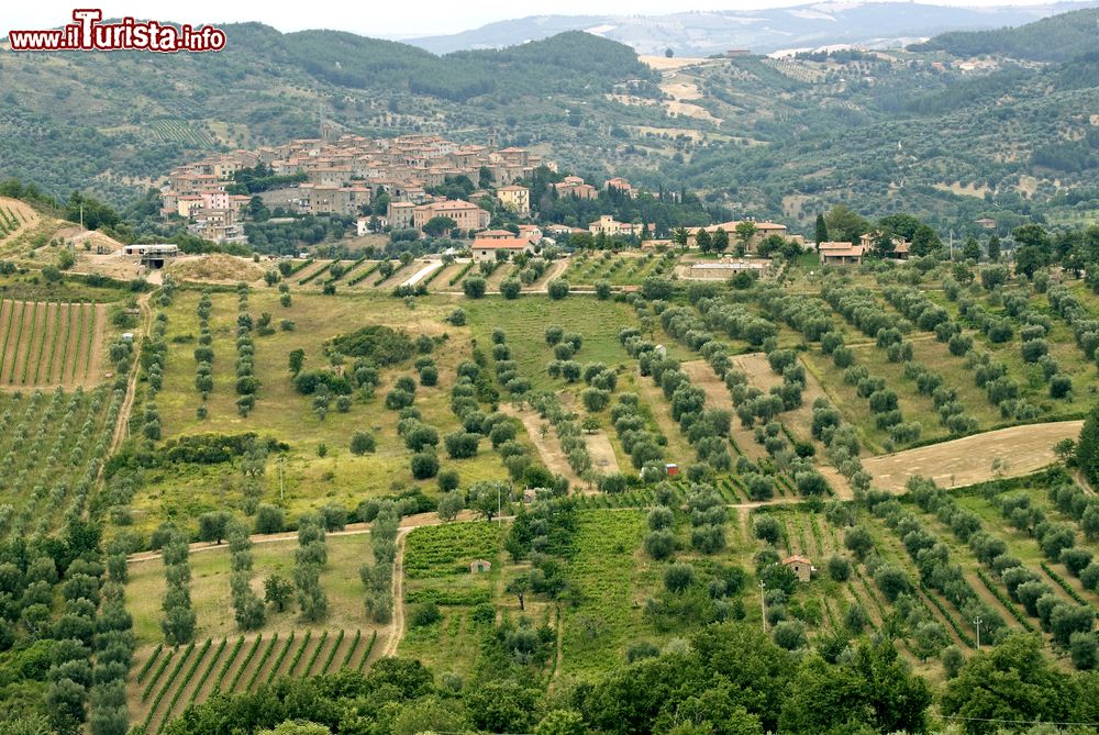 Immagine Panorama estivo della maremma a Seggiano, provincia di Grosseto