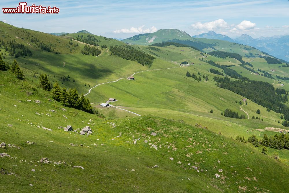 Immagine Panorama estivo delle Alpi svizzere sopra Champery. Prati verdi, strade tortuose e foreste con montagne come sfondo.