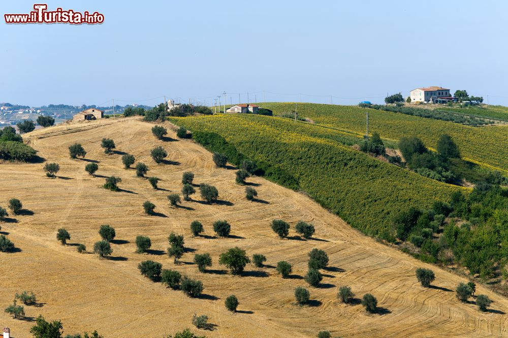 Immagine Panorama estivo nel territorio di Atri in Abruzzo
