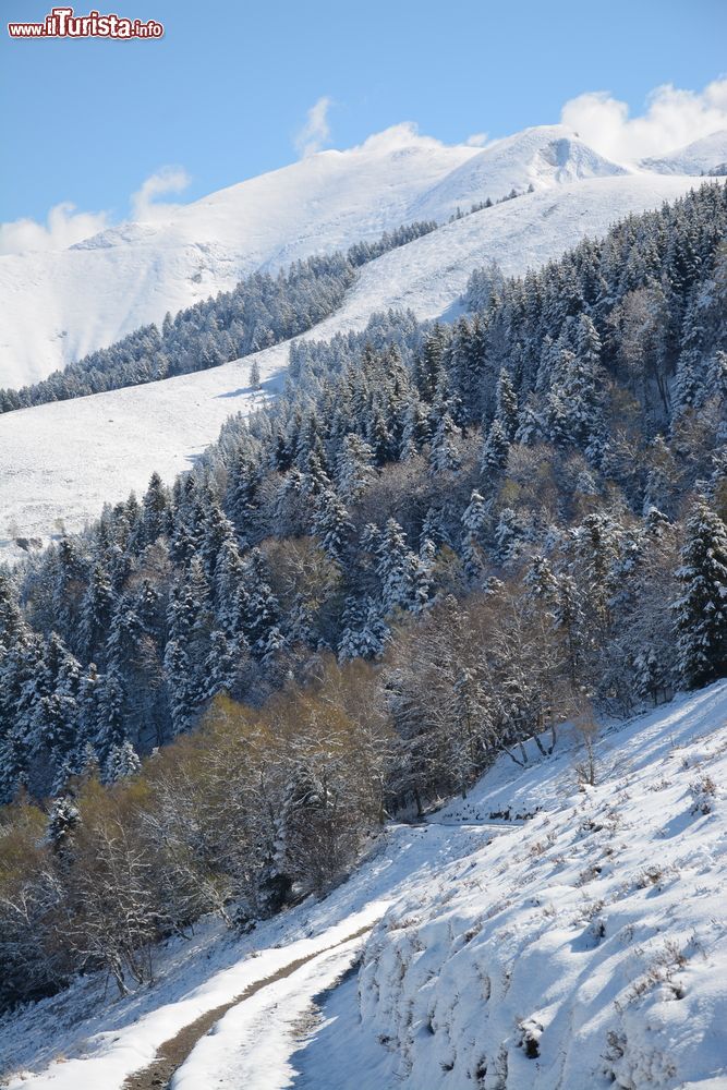 Immagine Panorama innevato con foresta di pini a Bagneres-de-Luchon, Francia.