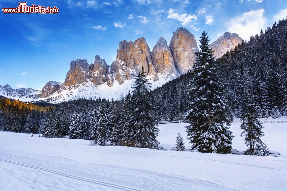 Immagine Panorama invernale del Geisler o vette delle Odle in Val di Funes, Alto Adige. Il suggestivo paesaggio naturale che circonda il villaggio di Santa Maddalena.