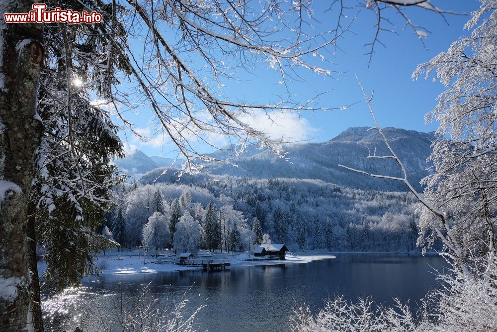 Immagine Panorama invernale del lago di Bohinj, Slovenia. Meta turistica sia estiva che invernale, questo lago è un'oasi di pace e tranquillità.