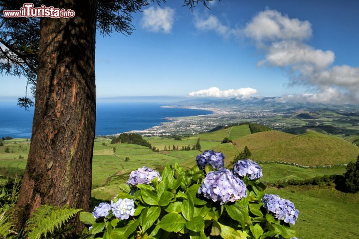 Immagine Panorama dell'isola di Sao Miguel, Azzorre, Portogallo: la più grande delle isole di questo arcipelago situato nel mezzo dell'Atlantico ospita vulcani, terme e piantagioni di tè - © Capture Light / Shutterstock.com