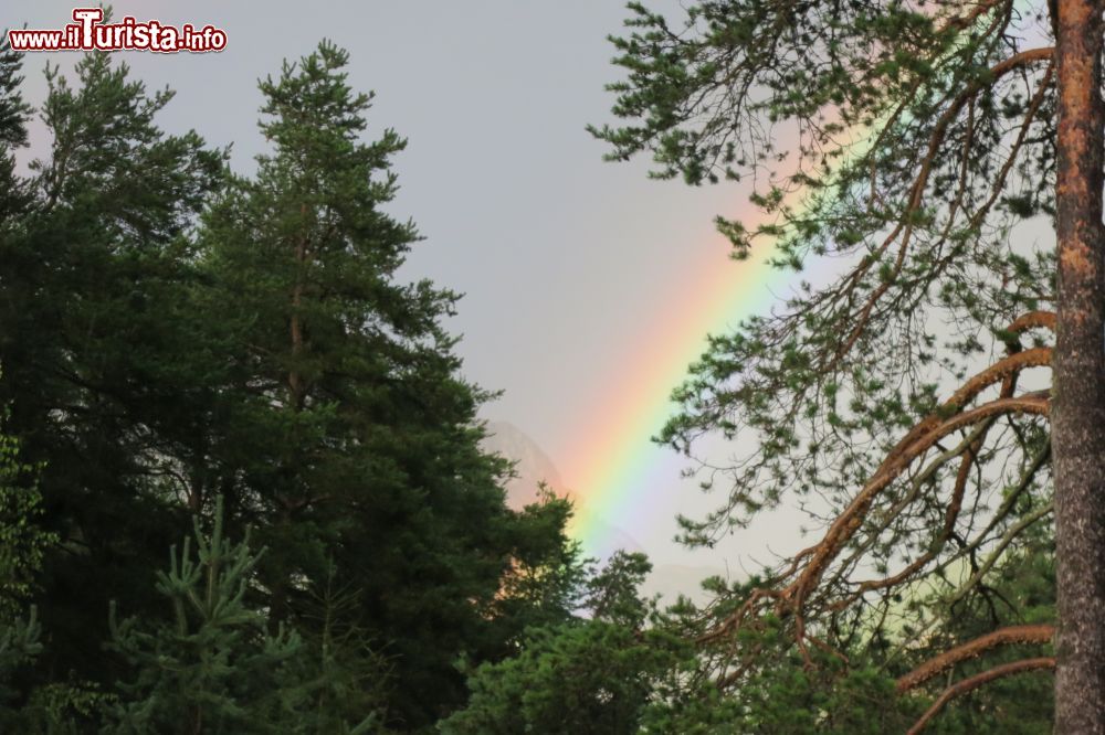 Immagine Panorama naturale a San Vigilio di Marebbe, Trentino Alto Adige. Dietro le fronde degli alberi, quasi per magia, compaiono le sfumature di un arcobaleno.