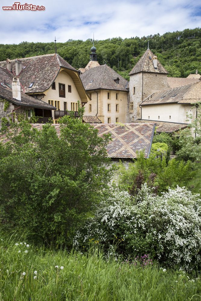 Immagine Panorama nel villaggio di Romainmotier-Envy. Canton Vaud, Svizzers