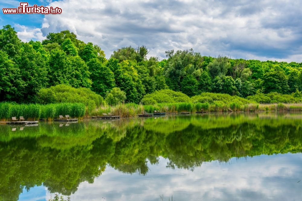 Immagine Panorama su una piscina naturale circondata da boschi e foreste nei pressi di Sopron, Ungheria.