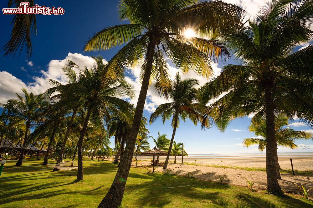 Immagine Panorama su una spiaggia tropicale di Viti Levu, Figi, Oceania, con palme da cocco.