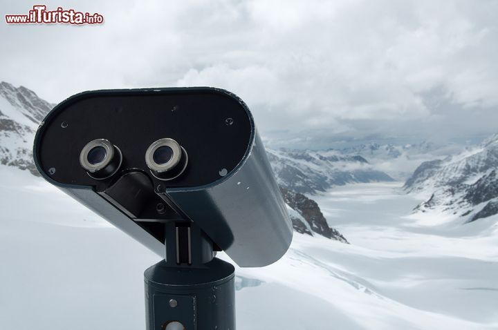 Immagine Il panorama sul ghiacciaio dell'Aletsch dalla terrazza dello Jungfrau, Grindelwlad, Svizzera.