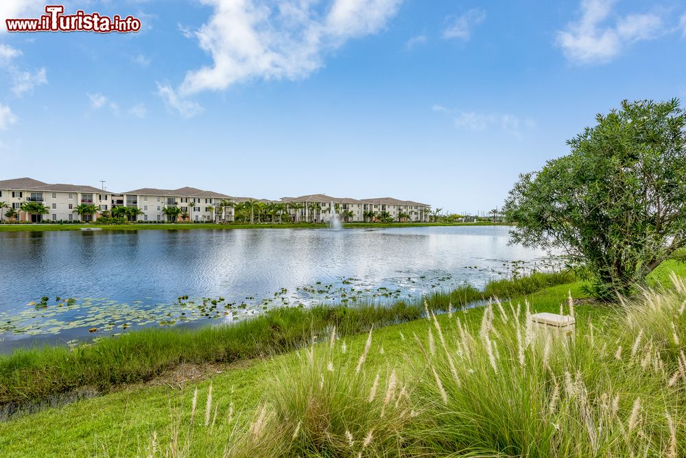 Immagine Panorama sul lago a Pembroke Pines, Florida: sullo sfondo, abitazioni affacciate sulla sponda del bacino lacustre. 