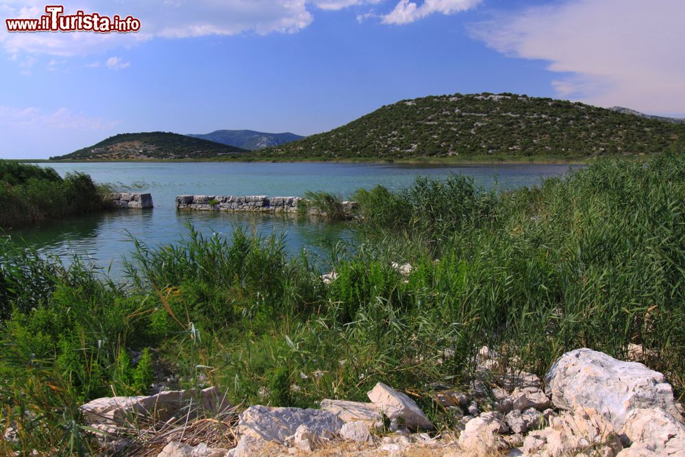 Immagine Panorama sul lago Vransko nei pressi di Pirovac, Croazia. Il lago fa parte di un parco naturale dichiarato riserva ornitologica nel 1983.