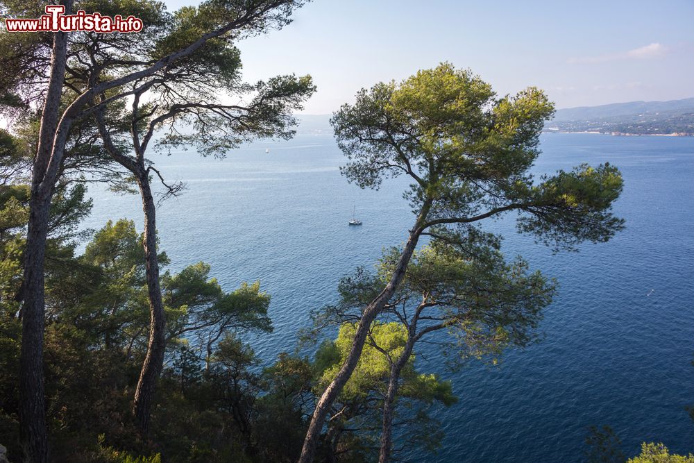 Immagine Panorama sul mar Mediterraneo a Saint-Cyr-sur-Mer nei pressi Bandol, Francia.