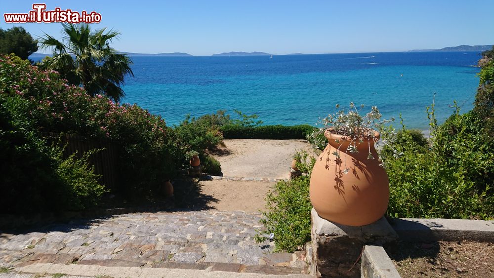 Immagine Panorama sul Mediterraneo da una terrazza di Rayol-Canadel-sur-Mer, Francia.