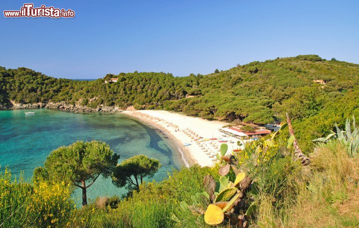 Immagine Panorama sulla spiaggia di Fetovaia, località che appare come nascosta dietro l'omonimo promontorio quasi come un dito roccioso ad indicare le rotte per le isole meridionali dell'arcipelago toscano - © travelpeter / Shutterstock.com