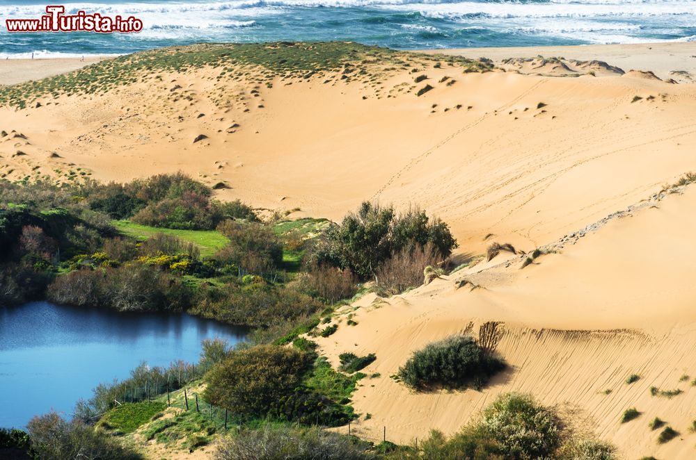 Immagine Panorama sulle dune e sulla costa di Pistis, Torre dei Corsari, Sardegna. Situata nella zona più settentrionale della Costa Verde, Pistis è un'immensa distesa di oltre un chilometro e mezzo di sabbia dorata e finissima impreziosita da ginepri, lentischi e altri arbusti della macchia mediterranea.