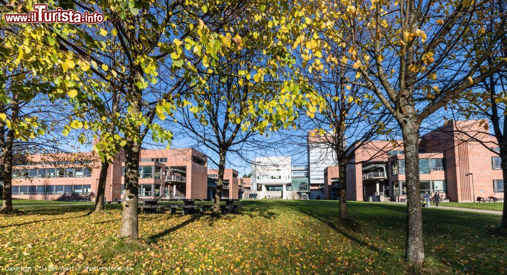 Immagine Panorama sull'università di Kristiansand, Norvegia: è circondata da alberi e prati - © Lillian Tveit / Shutterstock.com