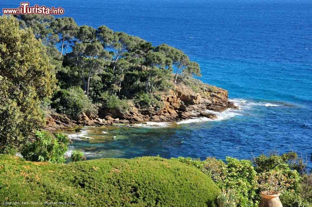 Immagine Panoramica primaverile sui giardini a Rayol-Canadel-sur-Mer, Francia - © Pack-Shot / Shutterstock.com