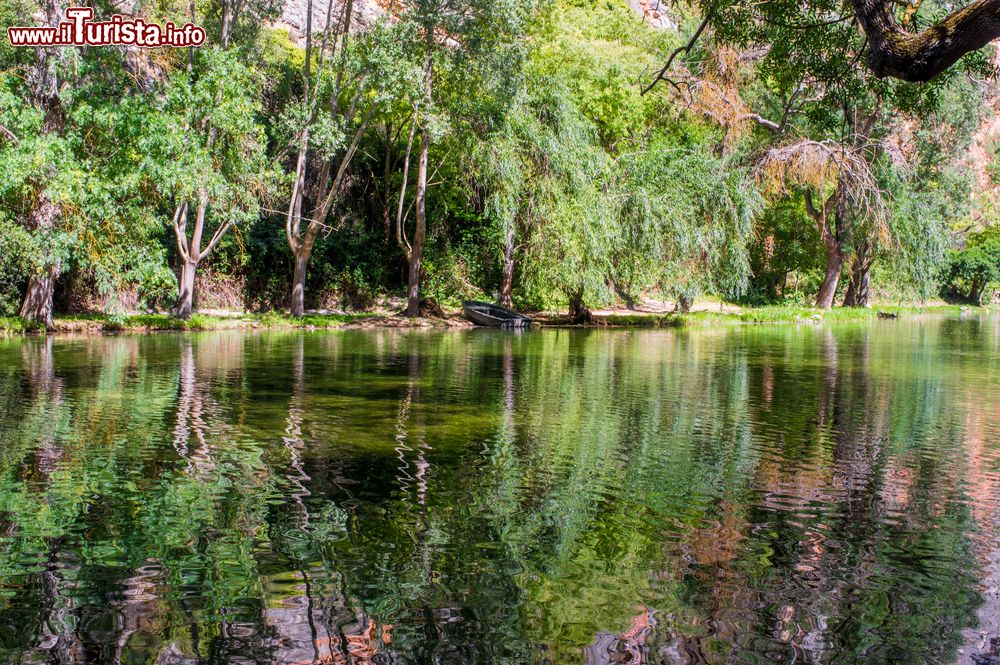 Immagine Parco Naturale del Monastero di Pietra, Nuevalos: uno specchio d'acqua circondato dalla foresta (Spagna).