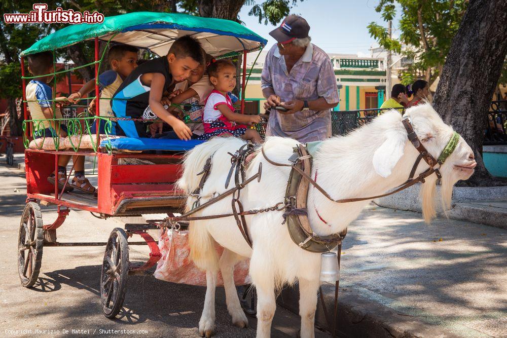 Immagine Bambini a passeggio su un carretto tirato da una capra nel Parque Céspedes di Bayamo, provincia di Granma, Cuba - © Maurizio De Mattei / Shutterstock.com